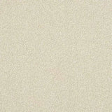 Abingdon Stainfree Ultra Carpet Exen Flooring