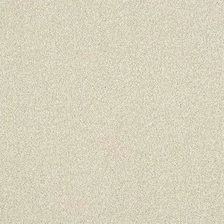 Abingdon Stainfree Ultra Carpet Exen Flooring