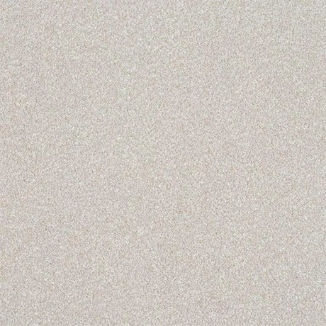 Abingdon Stainfree Ultra Carpet Exen Flooring