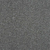 Abingdon Stainfree Ultra Carpet Exen Flooring