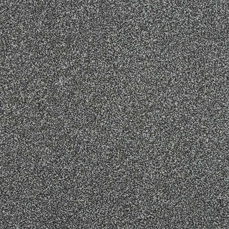 Abingdon Stainfree Ultra Carpet Exen Flooring