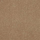 Abingdon Stainfree Ultra Carpet Exen Flooring