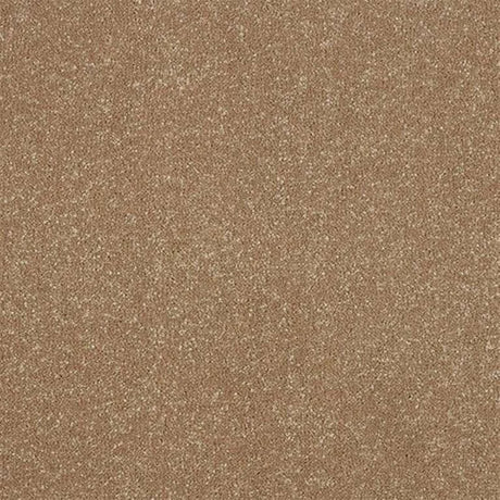 Abingdon Stainfree Ultra Carpet Exen Flooring