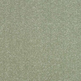 Abingdon Stainfree Ultra Carpet Exen Flooring