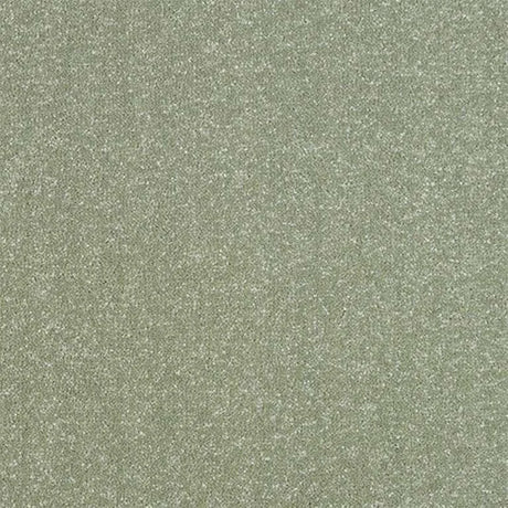 Abingdon Stainfree Ultra Carpet Exen Flooring