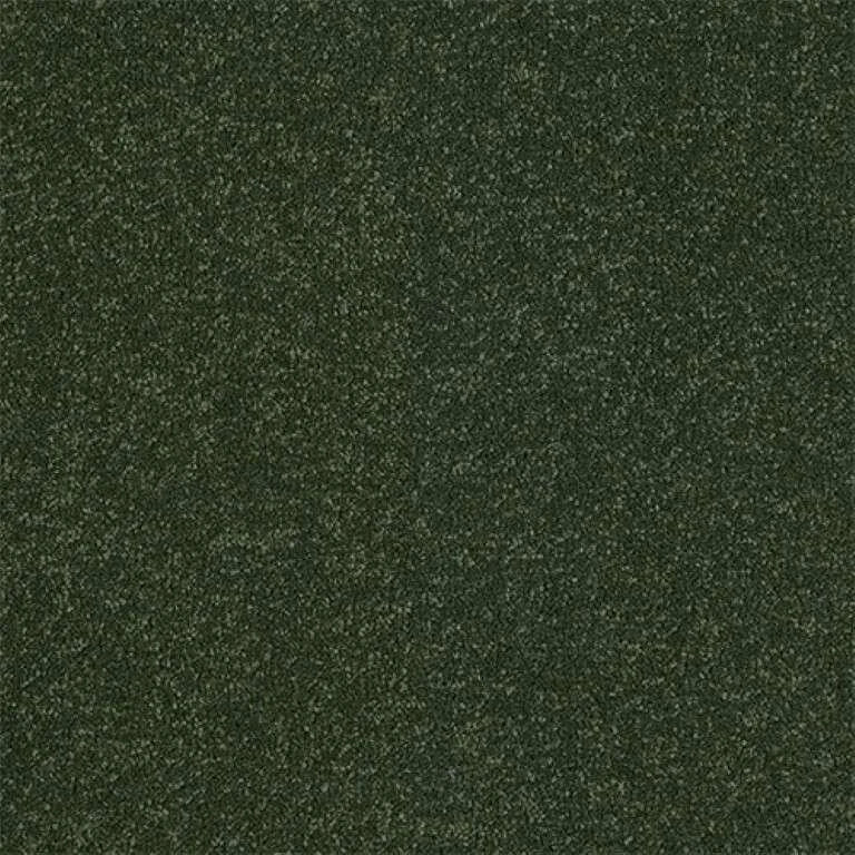 Abingdon Stainfree Ultra Carpet Exen Flooring