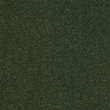 Abingdon Stainfree Ultra Carpet Exen Flooring