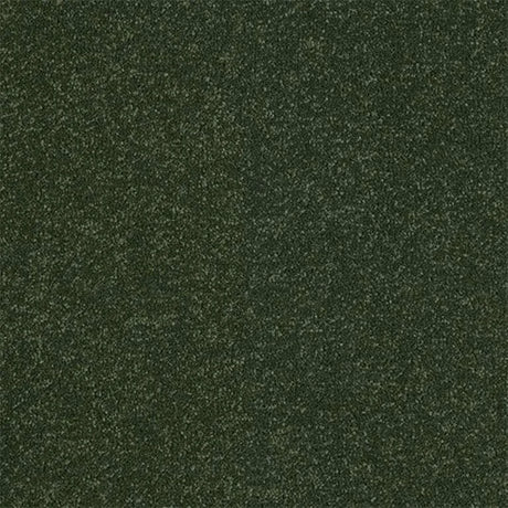 Abingdon Stainfree Ultra Carpet Exen Flooring