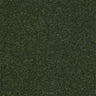 Abingdon Stainfree Ultra Carpet Exen Flooring