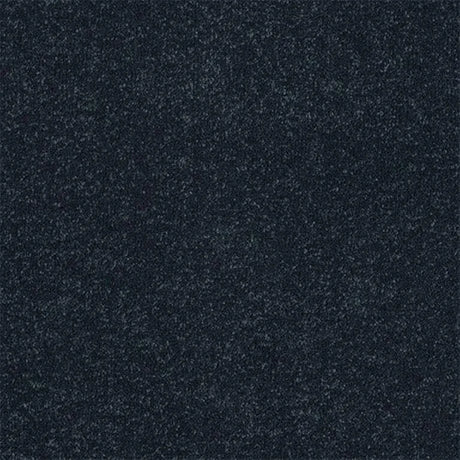 Abingdon Stainfree Ultra Carpet Exen Flooring