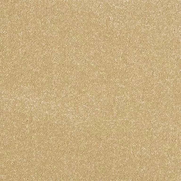 Abingdon Stainfree Ultra Carpet Exen Flooring