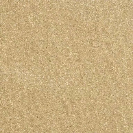 Abingdon Stainfree Ultra Carpet Exen Flooring