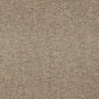 Abingdon Velvet Dream Carpet Exen Flooring