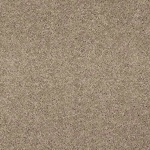 Abingdon Velvet Dream Carpet Exen Flooring
