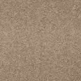 Abingdon Velvet Dream Carpet Exen Flooring
