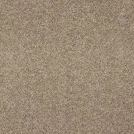 Abingdon Velvet Dream Carpet Exen Flooring