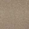 Abingdon Velvet Dream Carpet Exen Flooring