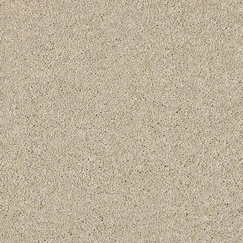 Abingdon Velvet Dream Carpet Exen Flooring
