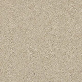 Abingdon Velvet Dream Carpet Exen Flooring