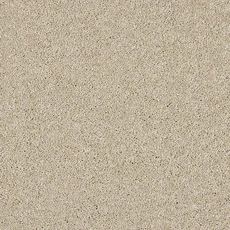 Abingdon Velvet Dream Carpet Exen Flooring