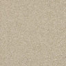 Abingdon Velvet Dream Carpet Exen Flooring
