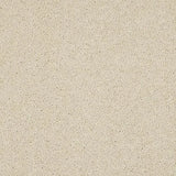 Abingdon Velvet Dream Carpet Exen Flooring