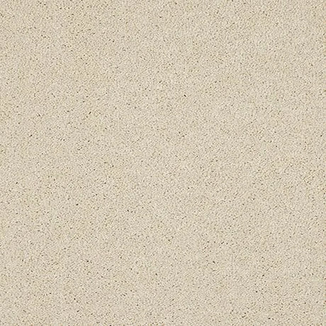 Abingdon Velvet Dream Carpet Exen Flooring
