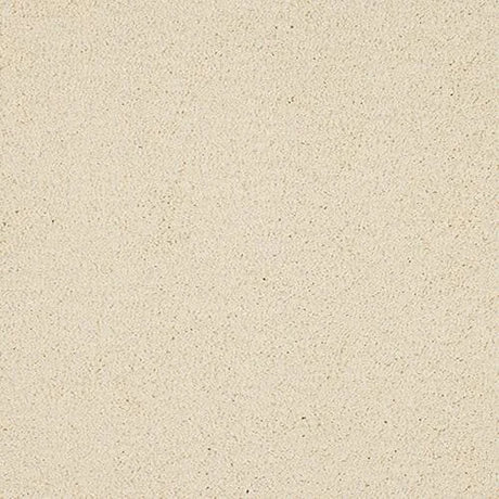 Abingdon Velvet Dream Carpet Exen Flooring