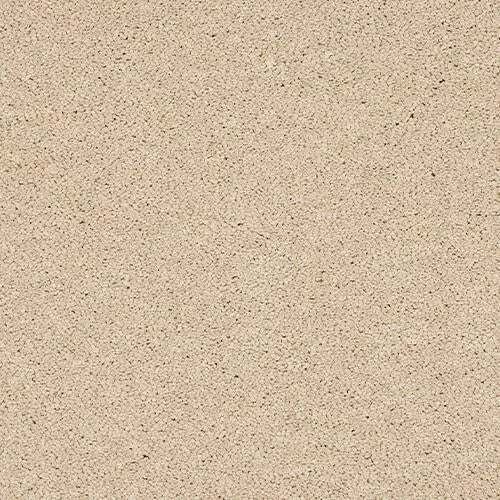 Abingdon Velvet Dream Carpet Exen Flooring