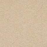 Abingdon Velvet Dream Carpet Exen Flooring