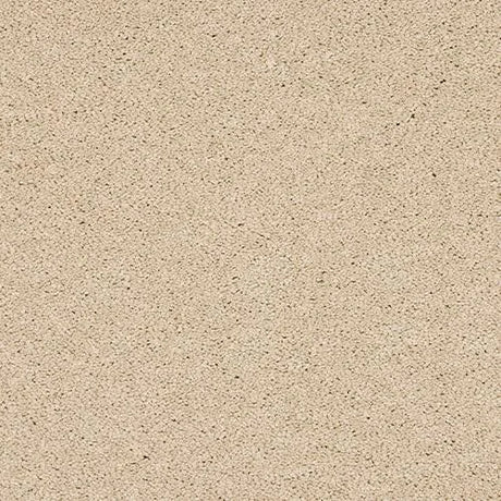 Abingdon Velvet Dream Carpet Exen Flooring