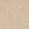 Abingdon Velvet Dream Carpet Exen Flooring