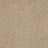 Abingdon Velvet Dream Carpet Exen Flooring