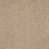 Abingdon Velvet Dream Carpet Exen Flooring
