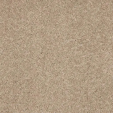 Abingdon Velvet Dream Carpet Exen Flooring