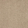 Abingdon Velvet Dream Carpet Exen Flooring