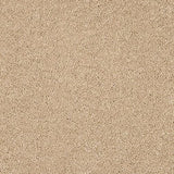 Abingdon Velvet Dream Carpet Exen Flooring