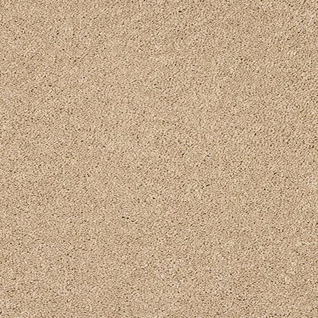 Abingdon Velvet Dream Carpet Exen Flooring