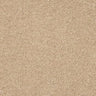 Abingdon Velvet Dream Carpet Exen Flooring