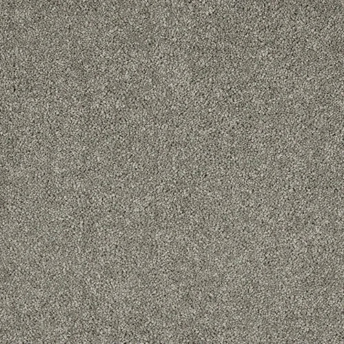 Abingdon Velvet Dream Carpet Exen Flooring