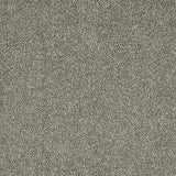 Abingdon Velvet Dream Carpet Exen Flooring