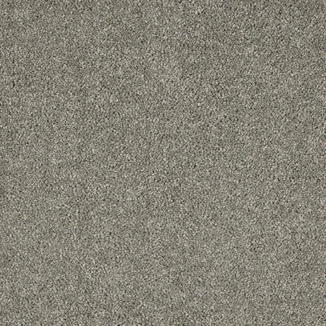 Abingdon Velvet Dream Carpet Exen Flooring