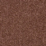 Abingdon Velvet Dream Carpet Exen Flooring