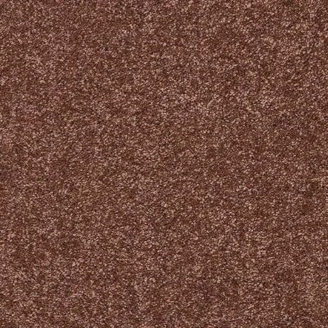Abingdon Velvet Dream Carpet Exen Flooring