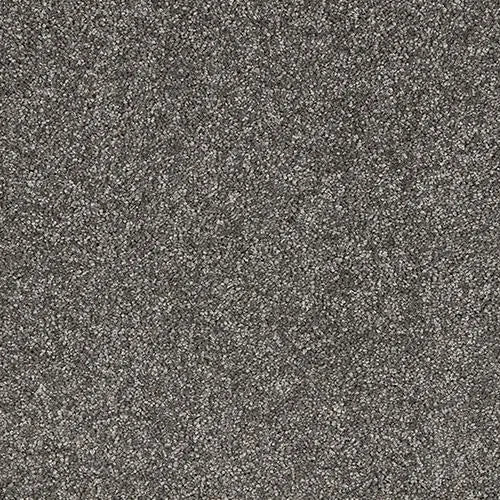 Abingdon Velvet Dream Carpet Exen Flooring