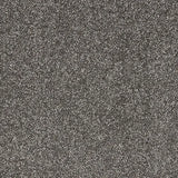 Abingdon Velvet Dream Carpet Exen Flooring