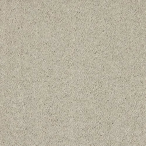 Abingdon Velvet Dream Carpet Exen Flooring