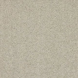 Abingdon Velvet Dream Carpet Exen Flooring