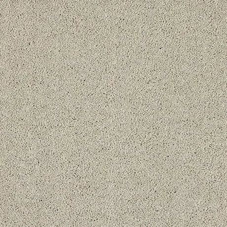 Abingdon Velvet Dream Carpet Exen Flooring