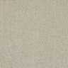 Abingdon Velvet Dream Carpet Exen Flooring